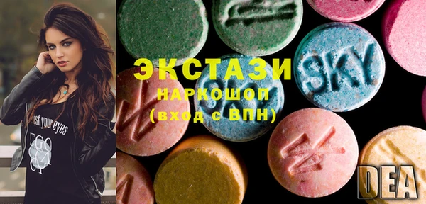 ECSTASY Богородицк