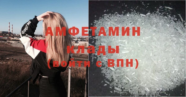 ECSTASY Богородицк