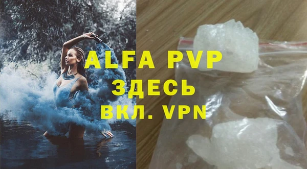 ECSTASY Богородицк